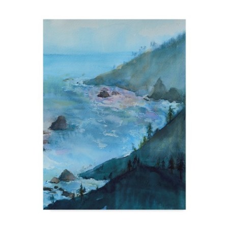 Marietta Cohen Art And Design 'View From The Cliff 1' Canvas Art,35x47